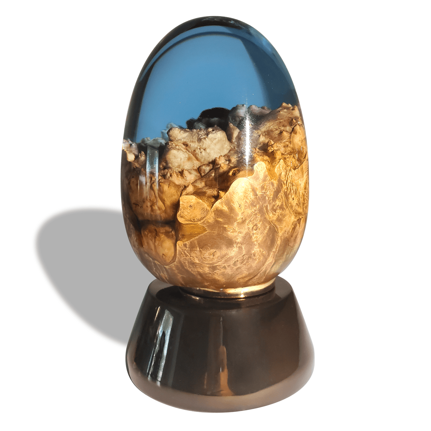 Blue Dragon Egg by Arditi Collectio