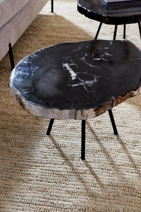 Petrified Wood Coffee Table 24