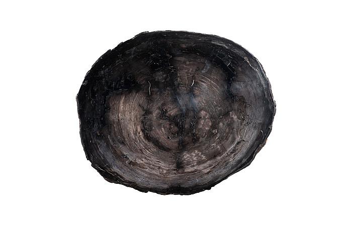 Petrified Wood Coffee Table 30