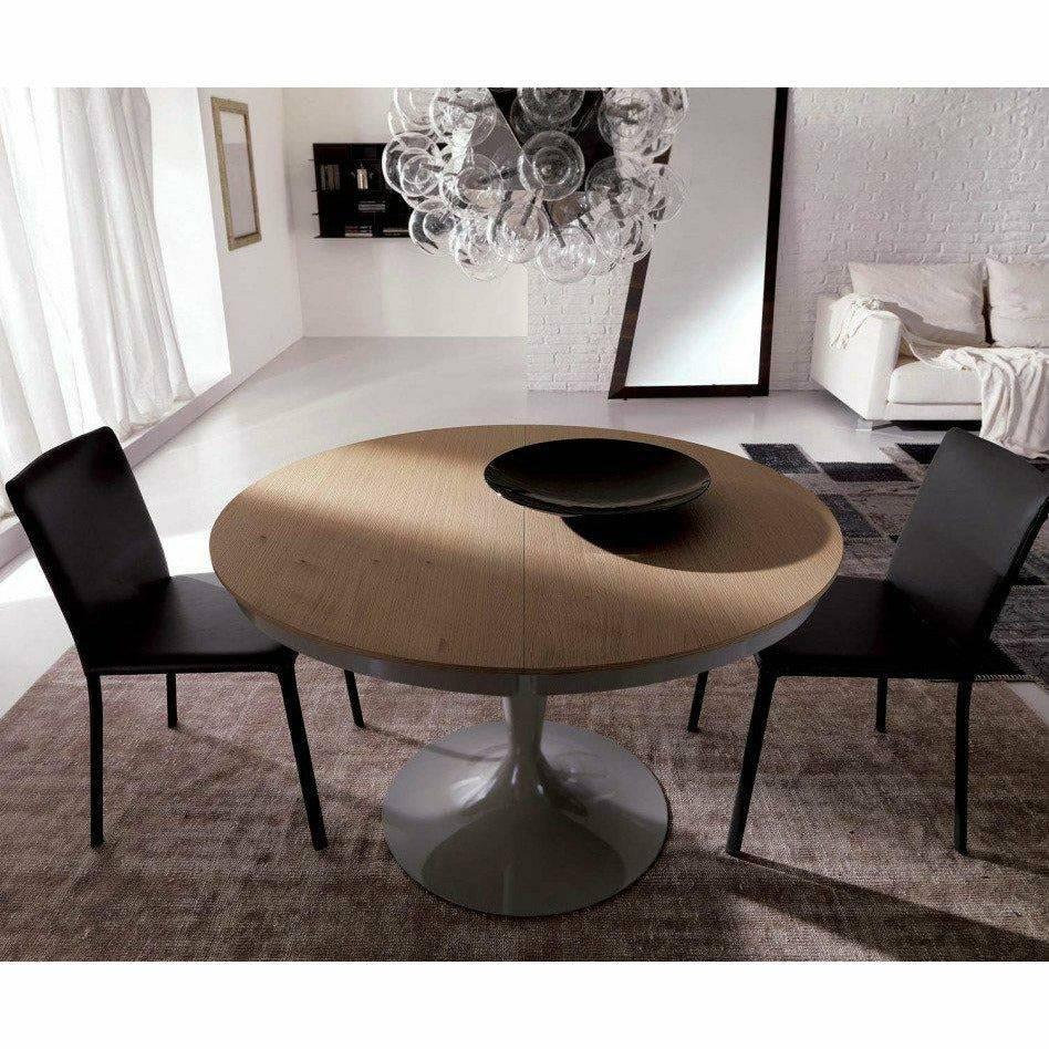Lunette Chair by Ozzio