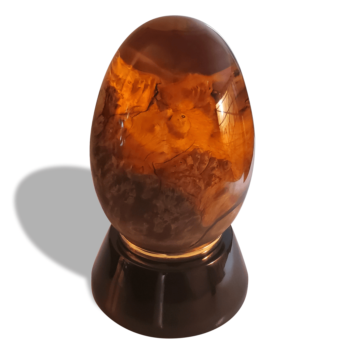 Orange Dragon Egg