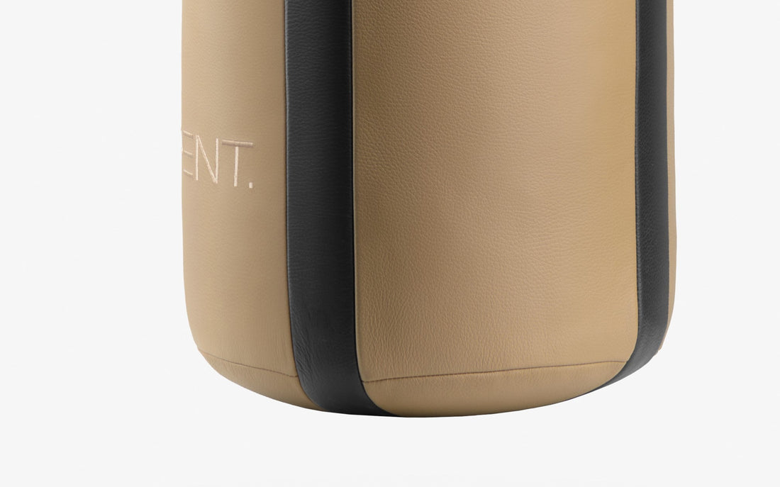 RAXA Punching Bag Set