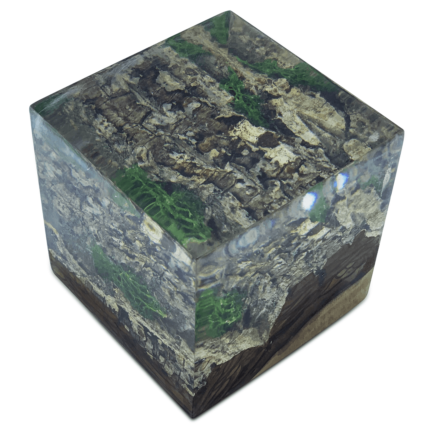 Wood Bark Minimal Decorative Cube