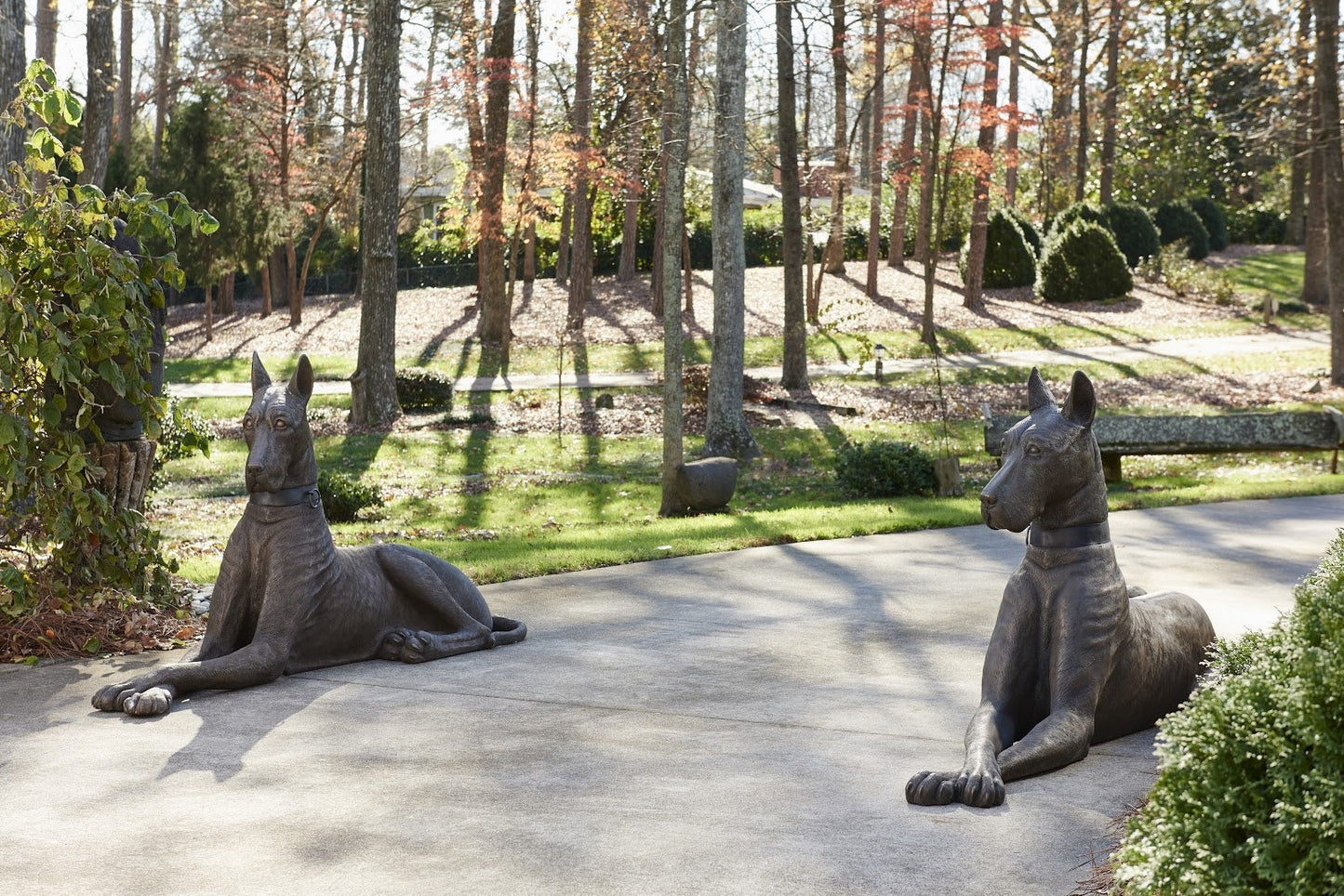 Great Dane Bronze Sculpture