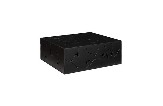 Teak Slice Coffee Table, Square, Black