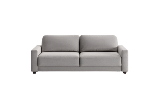 Belton Queen Size Sleeper Sofa
