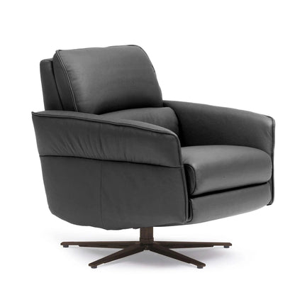 Aura Swivel Power Recliner by Himolla