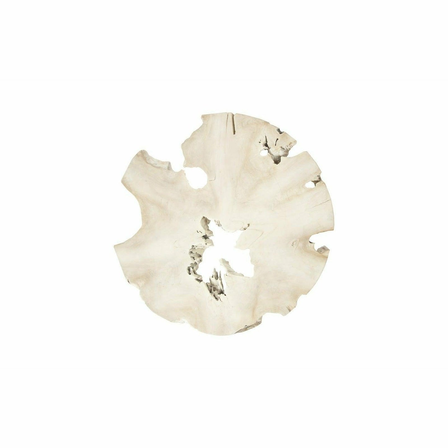 Bleached Slice Coffee Table, Iron Legs