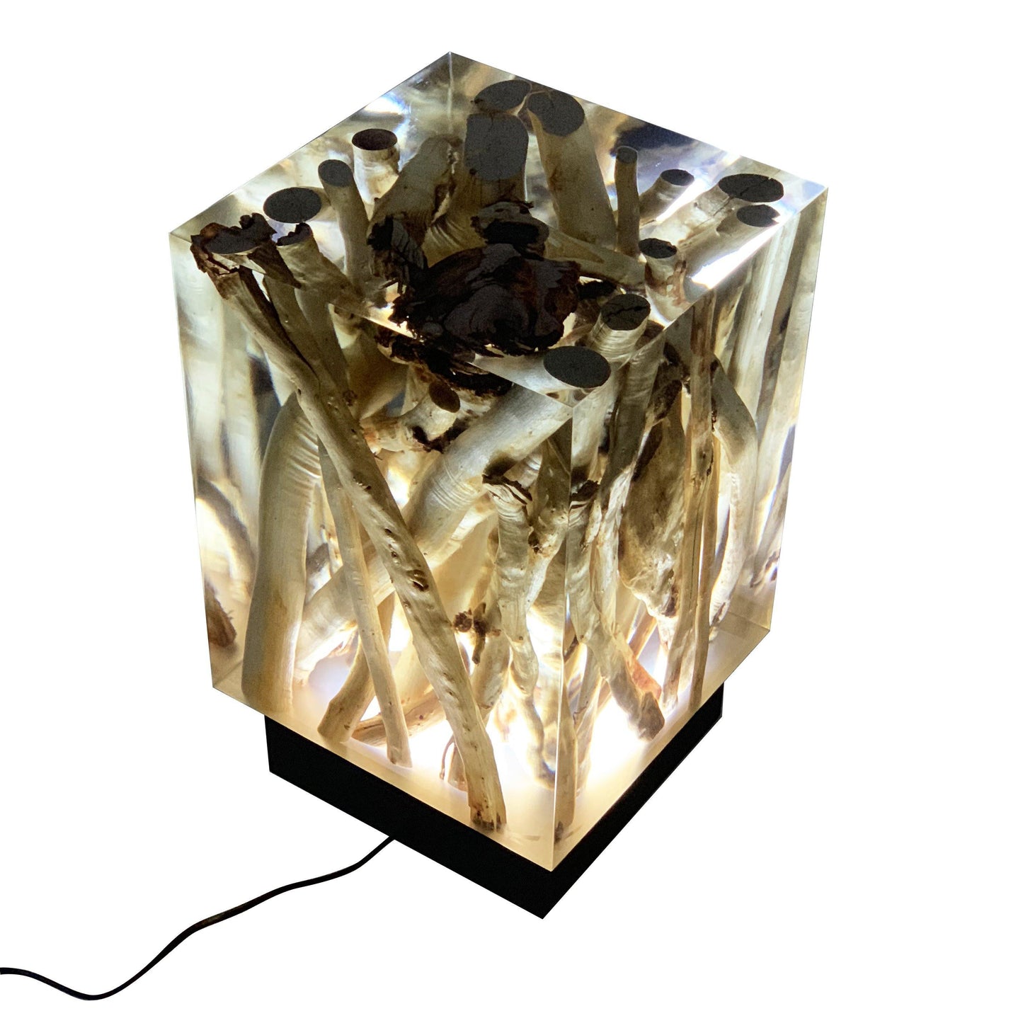 Branches Cube Lamp