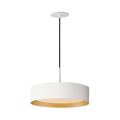 ECHO 16 LED PENDANT