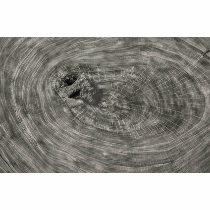 Floating Round Gray Coffee Table