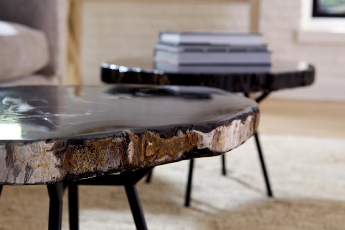 Petrified Wood Coffee Table 30