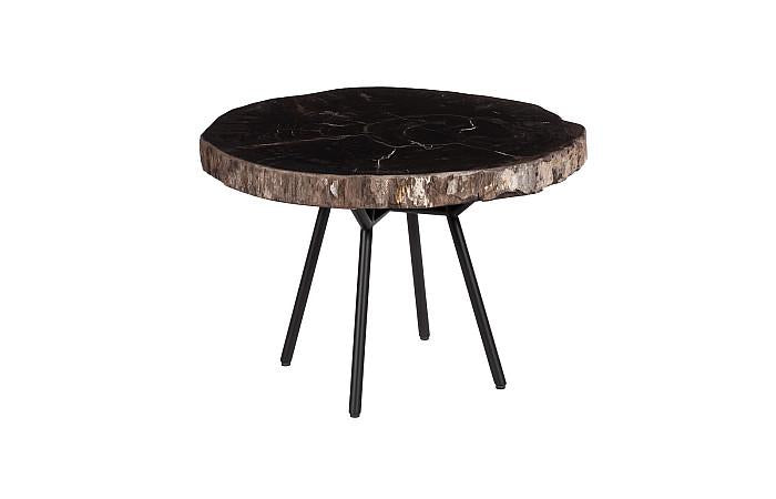 Petrified Wood Coffee Table 24