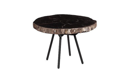 Petrified Wood Coffee Table 24