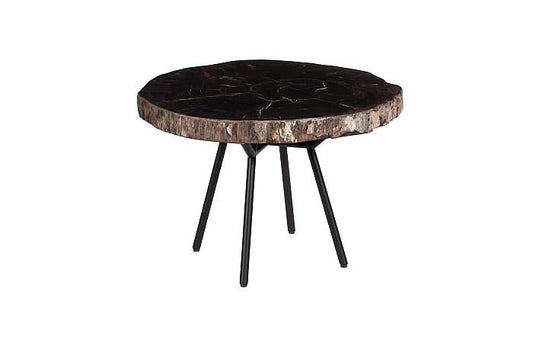 Petrified Wood Coffee Table 24