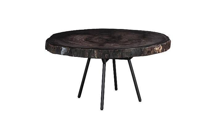 Petrified Wood Coffee Table 30
