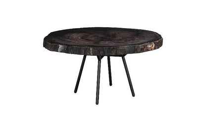 Petrified Wood Coffee Table 30