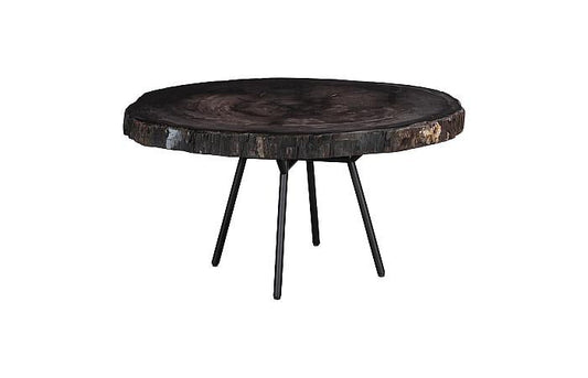 Petrified Wood Coffee Table 30