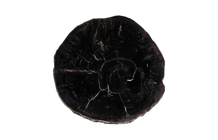 Petrified Wood Coffee Table 24