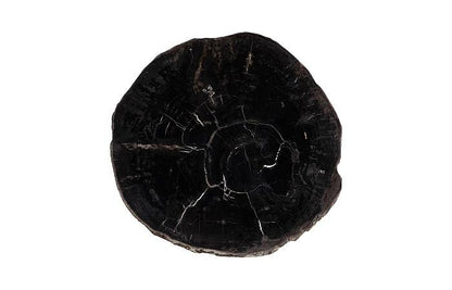 Petrified Wood Coffee Table 24