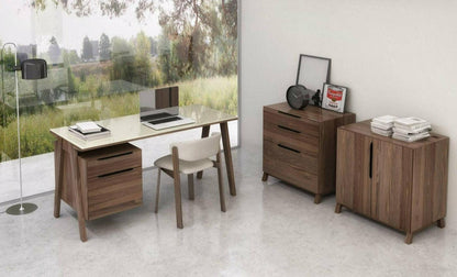 HOWARD 2 DOOR CABINET
