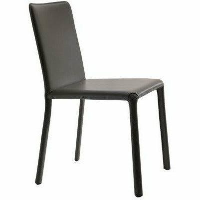 Lunette Chair by Ozzio