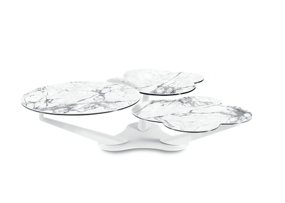 Myflower Coffee Table