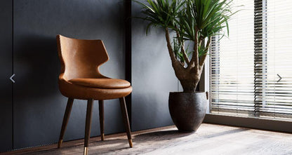 Patara Wood