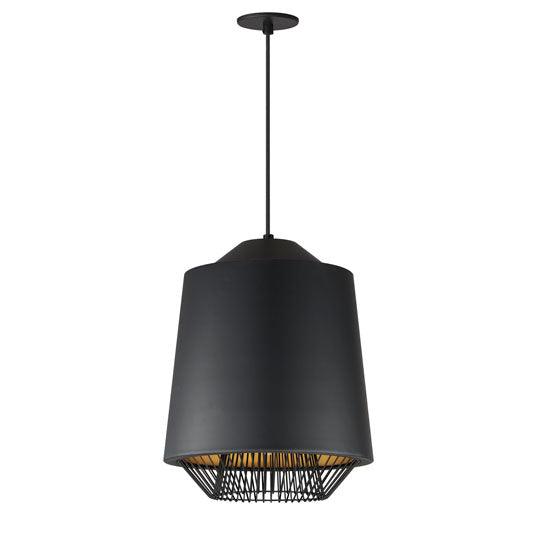 PHOENIX 16 LED PENDANT