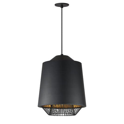 PHOENIX 16 LED PENDANT