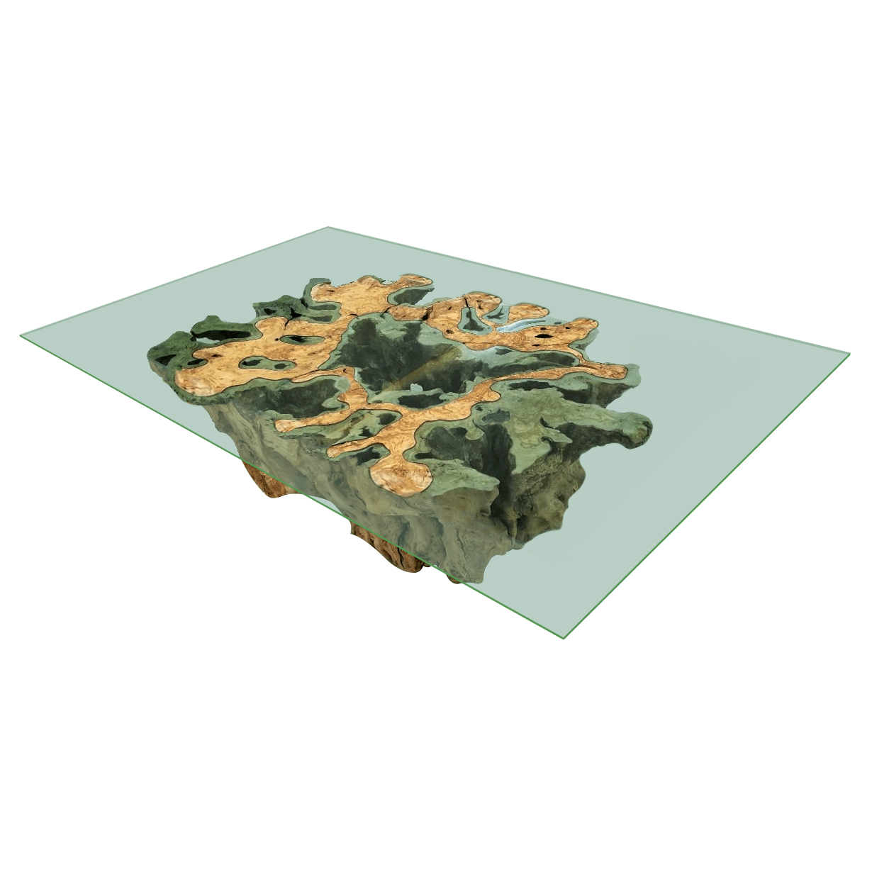 Selected Variant Image