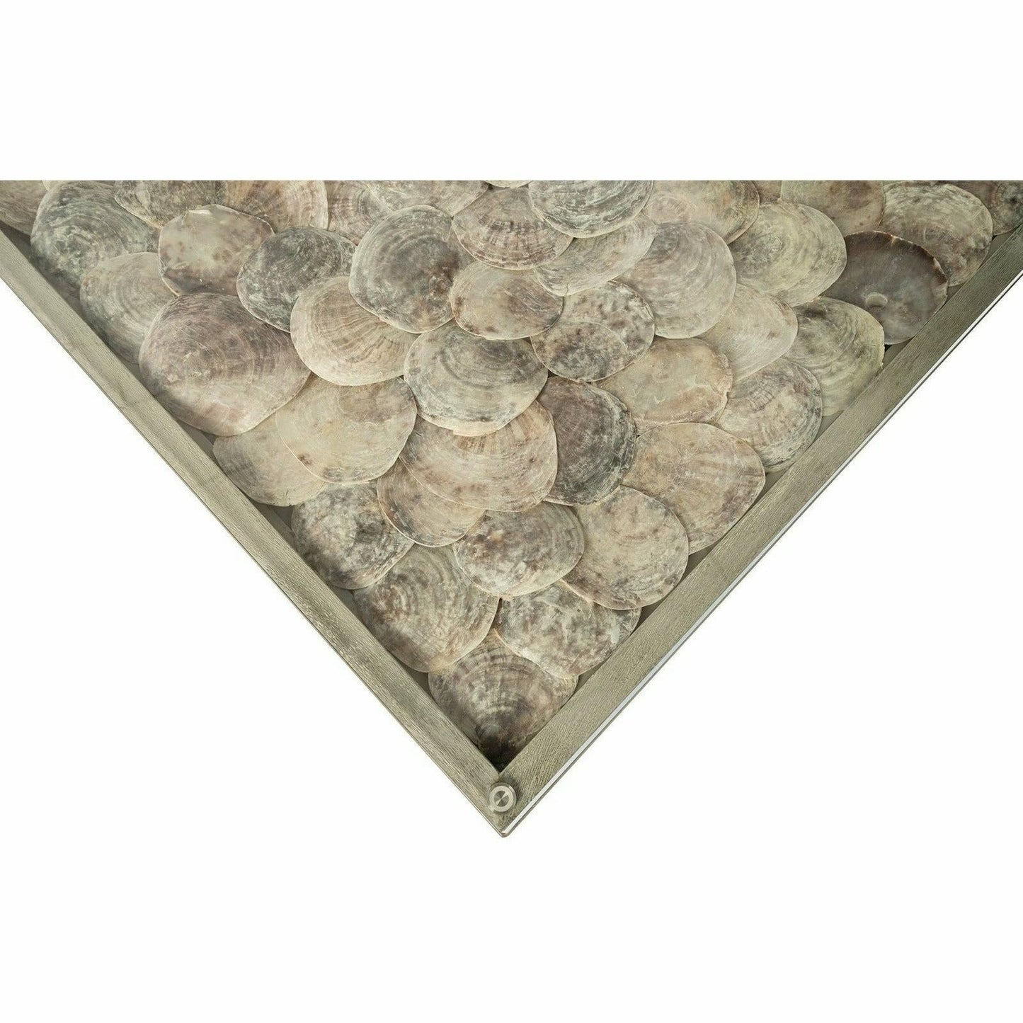 Shell Coffee Table