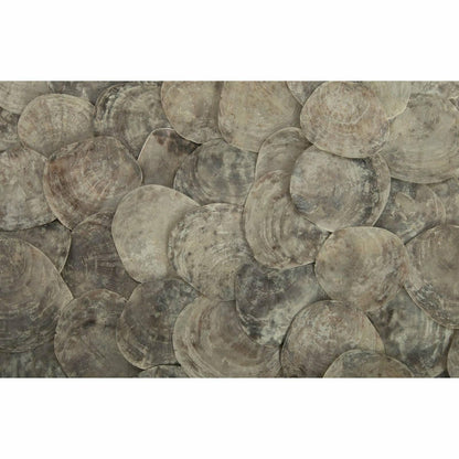 Shell Coffee Table