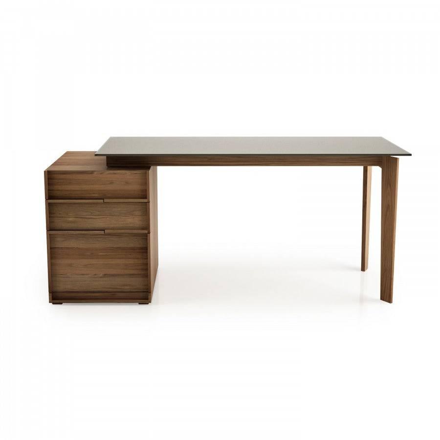 SWAN WORK DESK