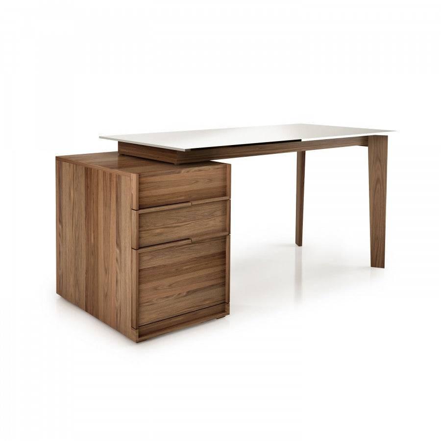 SWAN WORK DESK