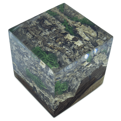 Wood Bark Minimal Decorative Cube