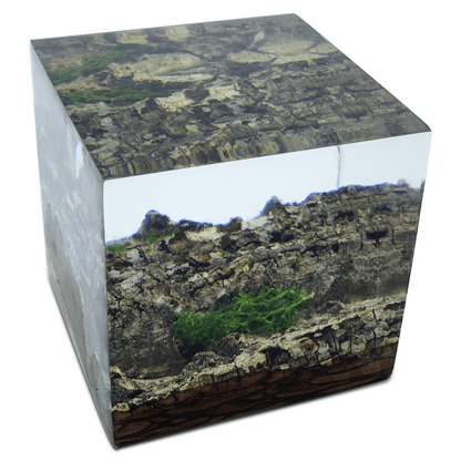 Wood Bark Minimal Decorative Cube